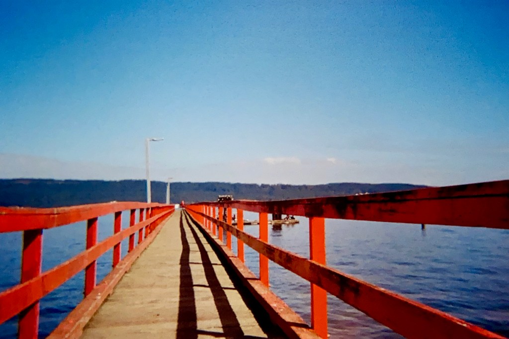 August 2024 Film Photos – Salt Spring&nbsp;Island