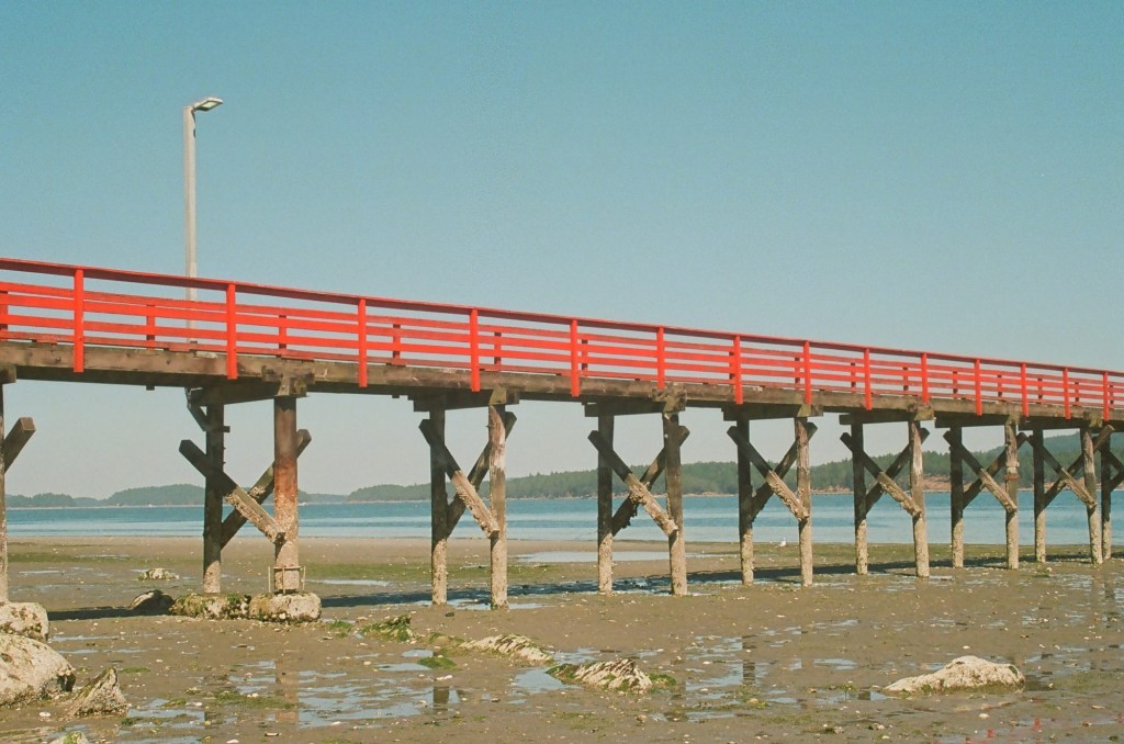 Summer 2024 on Film + New Film&nbsp;Camera