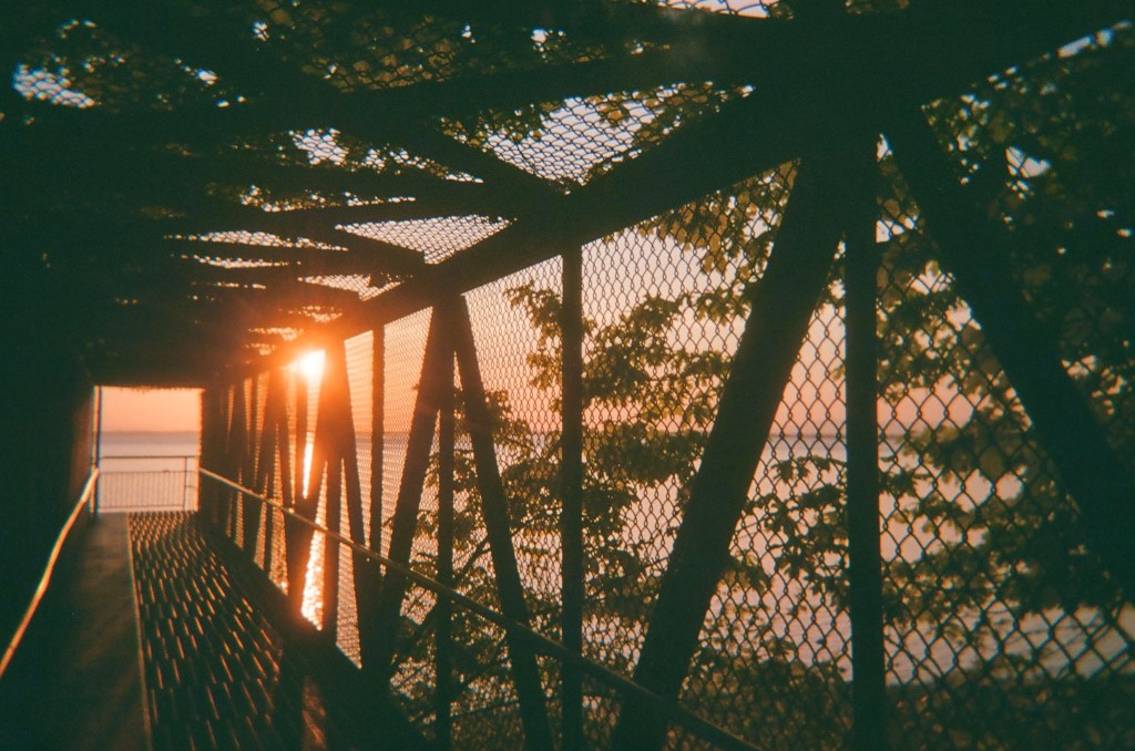 The Last Roll of Film I’ll Shoot on my&nbsp;Suntone?